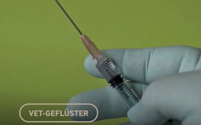 BHV-Ver­si­che­rung bei Coro­na-Imp­fung durch Tierärzt:innen