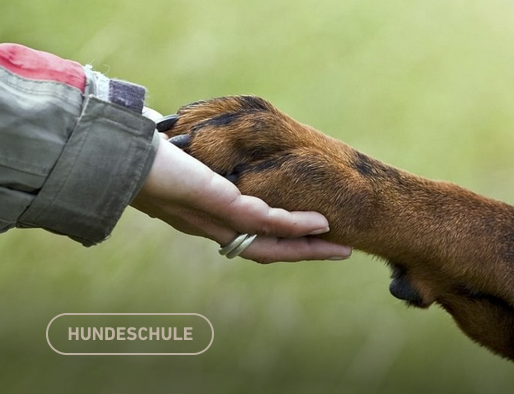 Vera Schmitz: “Anstands­re­geln für Hund & Mensch”